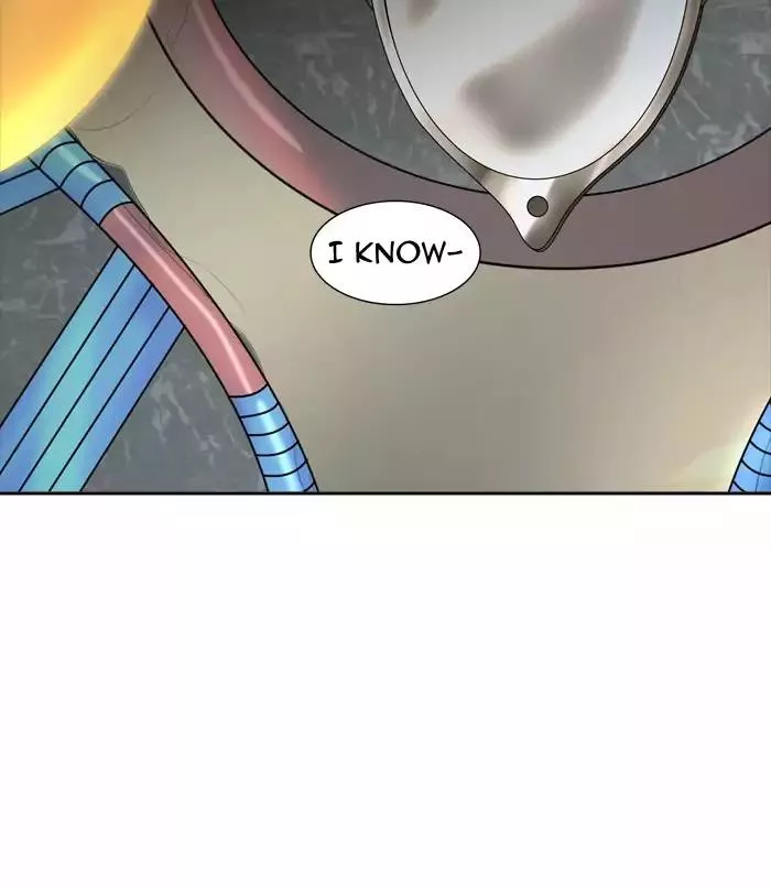 Tower of God, chapter 378, image 17