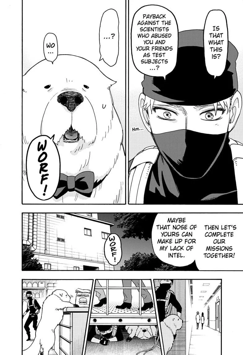SPY x FAMILY, chapter 40, image 17