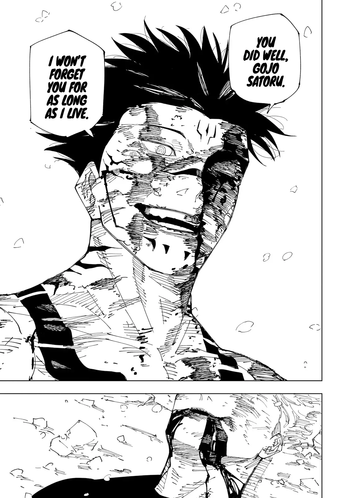 Jujutsu Kaisen, chapter 236, image 17