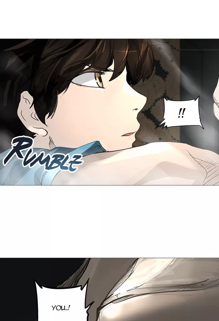 Tower of God, chapter 249, image 25