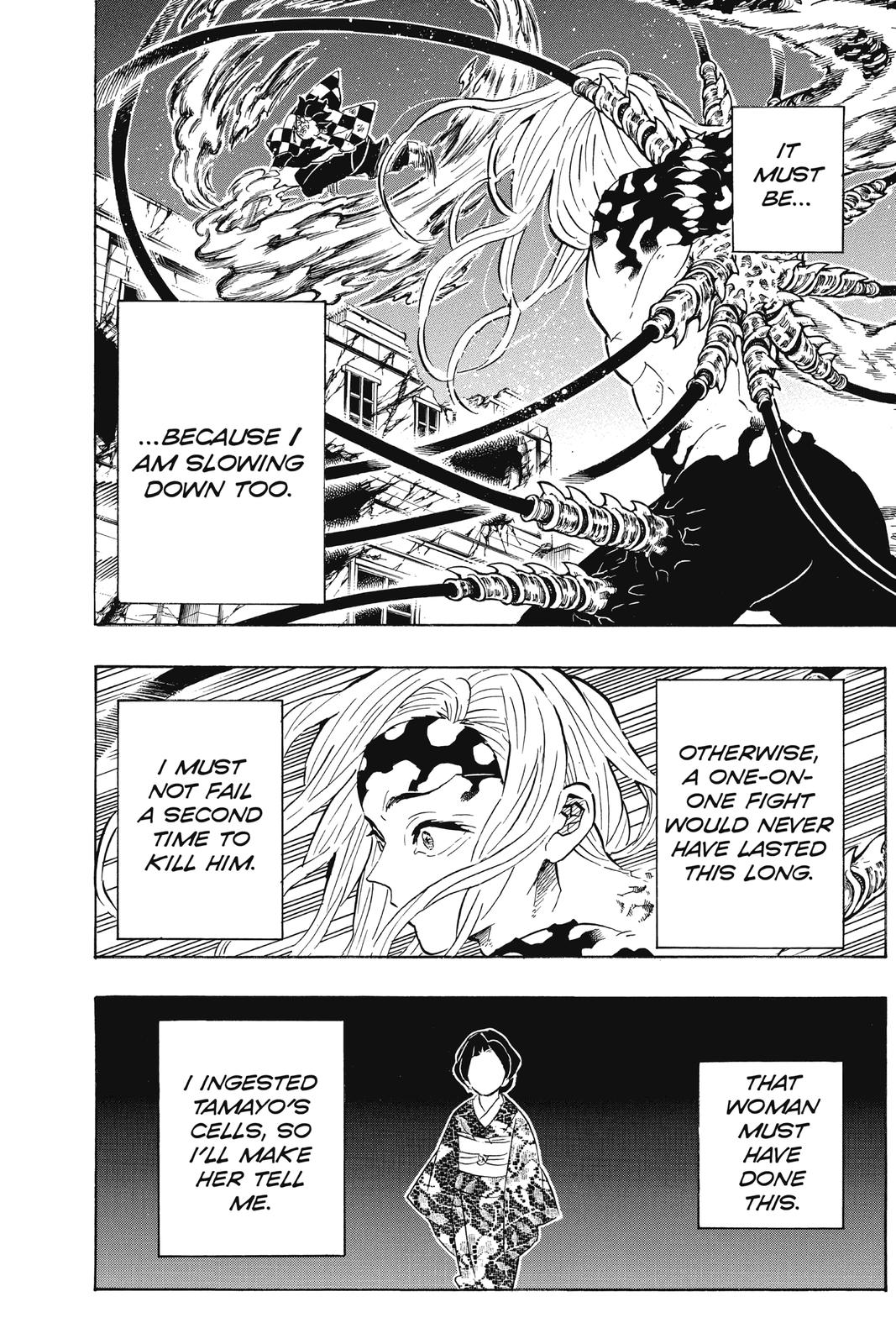 Demon Slayer: Kimetsu no Yaiba, chapter 193, image 13