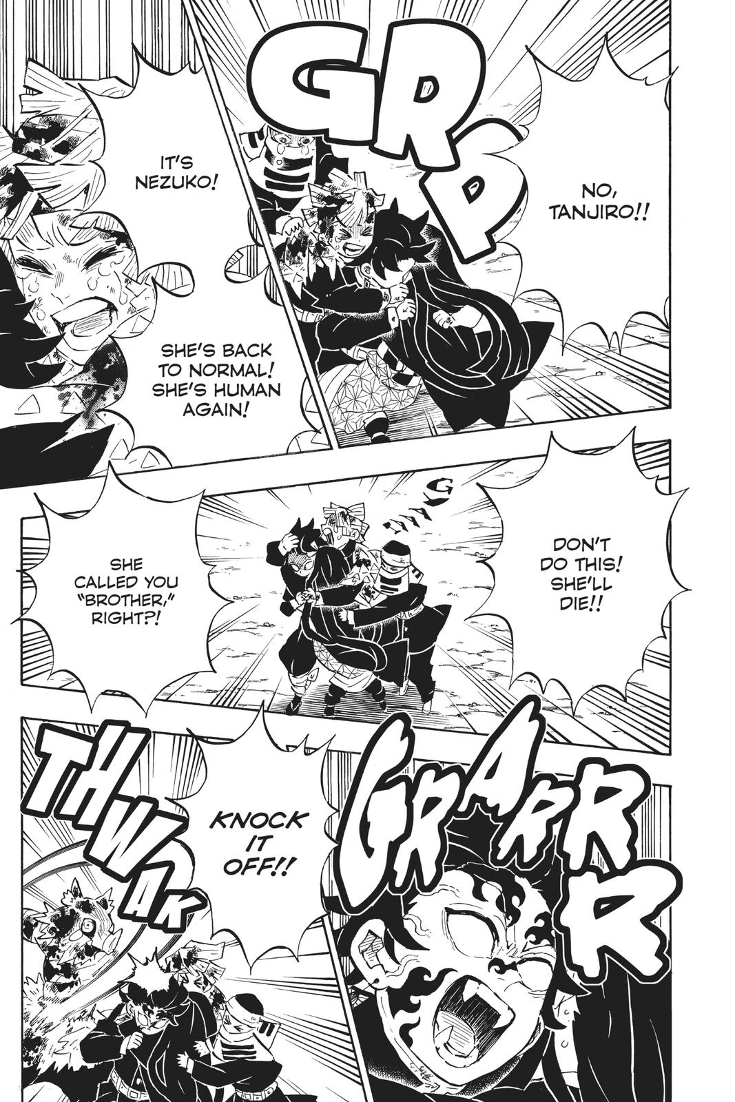 Demon Slayer: Kimetsu no Yaiba, chapter 202, image 5
